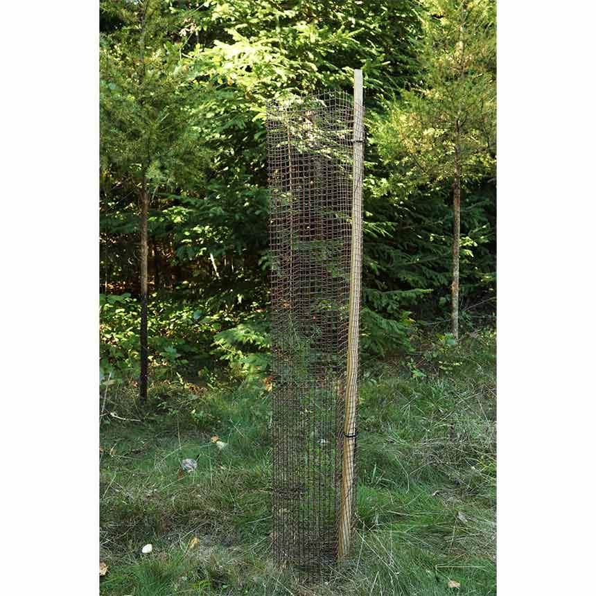BioWit Freiwuchs 300, Schutzhöhe 120 cm, biologisches Baumschutzgitter