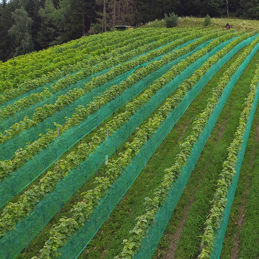 WitaNet Seitenbespannung