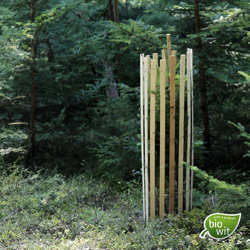 WitaPro Freiwuchs 500, 120 cm, Wuchsraumdurchmesser ca. 30 cm