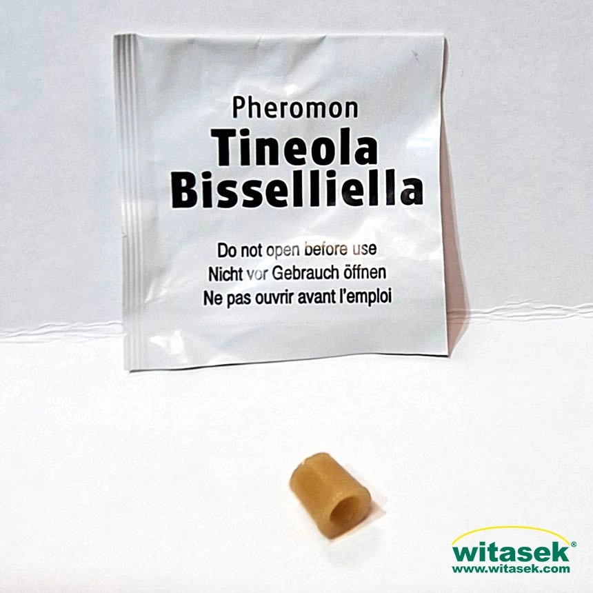 Tineowit - pheromone against the clothes moth (Tineola bisselliella)
