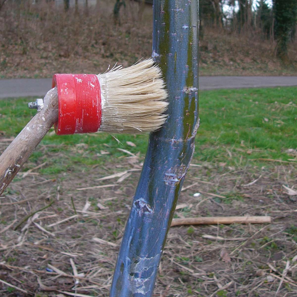 Cortiflex Winkelpinsel