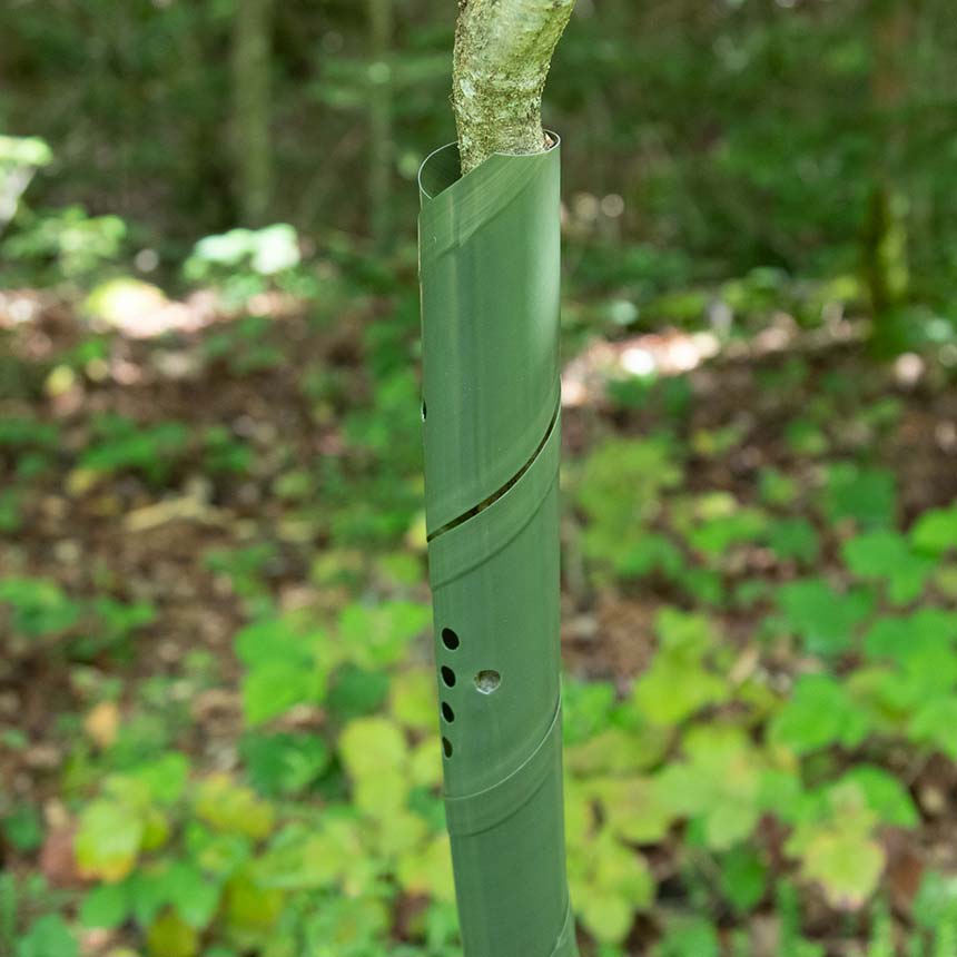 MONO Fegeschutzspirale - Ø 4cm, grün
