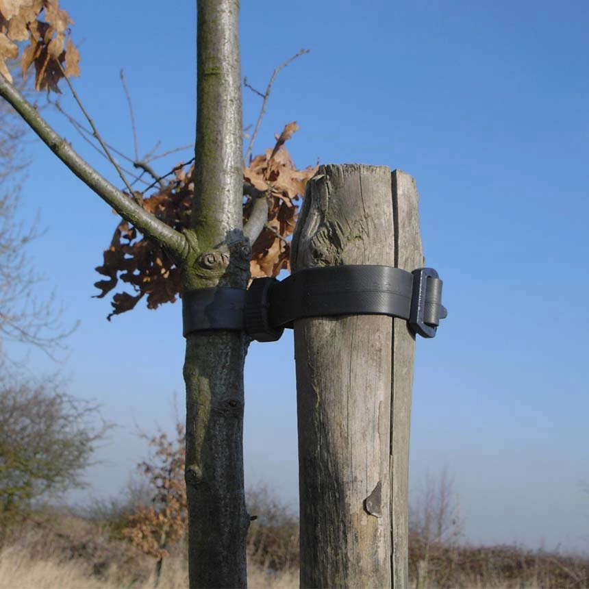 Baumband Econom Anwendungsbeispiel