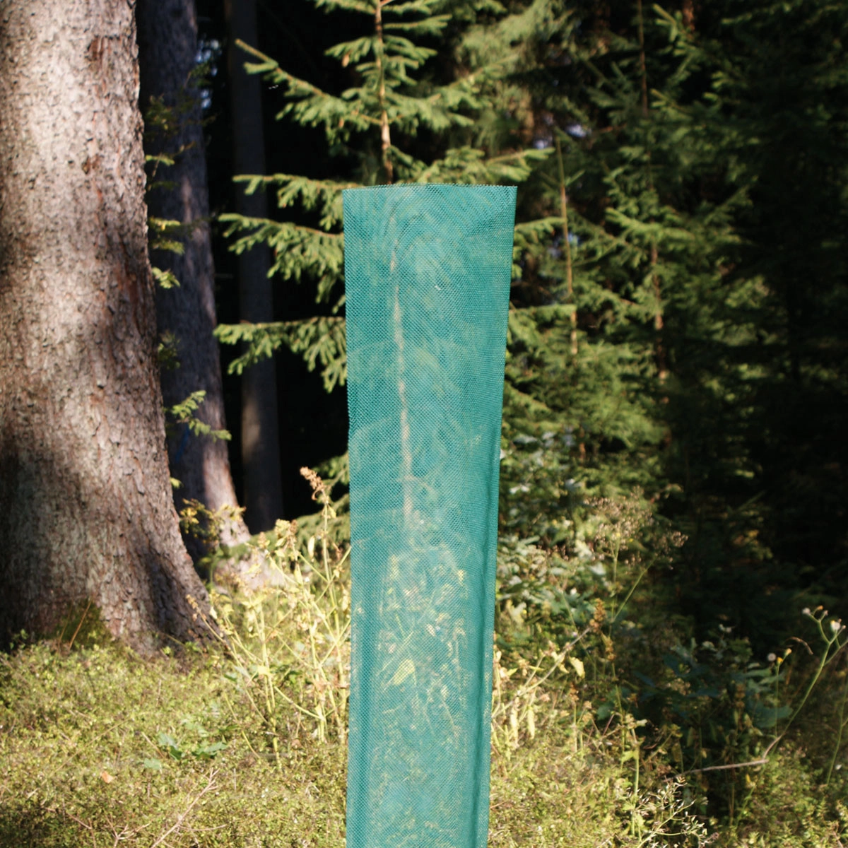 Klimawit Light 220 – Schutzhöhe 120 cm