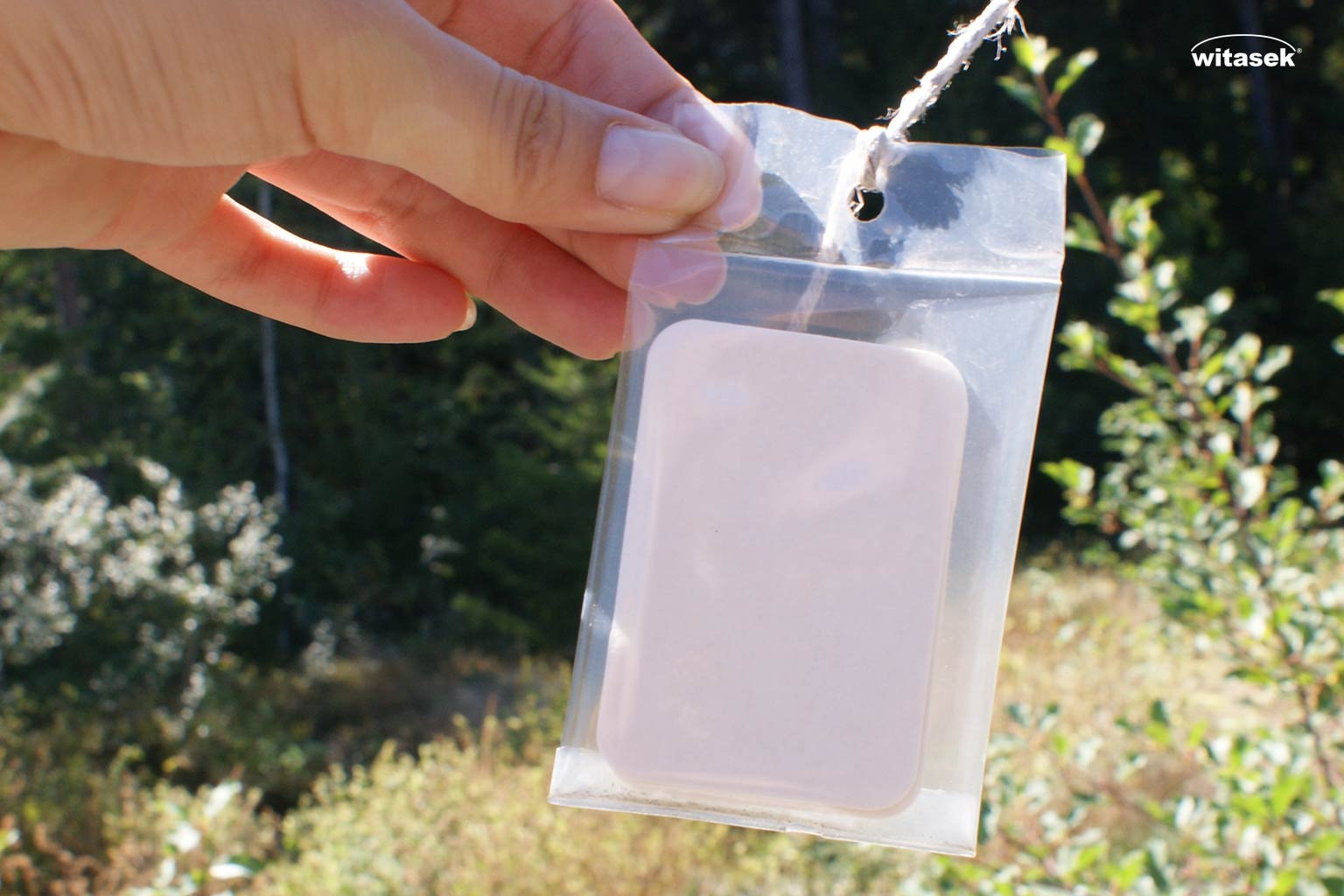 Beschreibungen_Lagerung-Handhabung-Pheromone