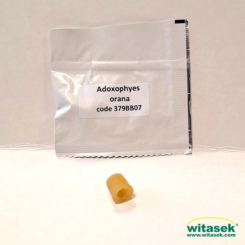 Adoxowit - Pheromon gegen den Fruchtschalenwickler (Adoxophyes orana) Adoxowit - Pheromon gegen den Fruchtschalenwickler (Adoxophyes orana)