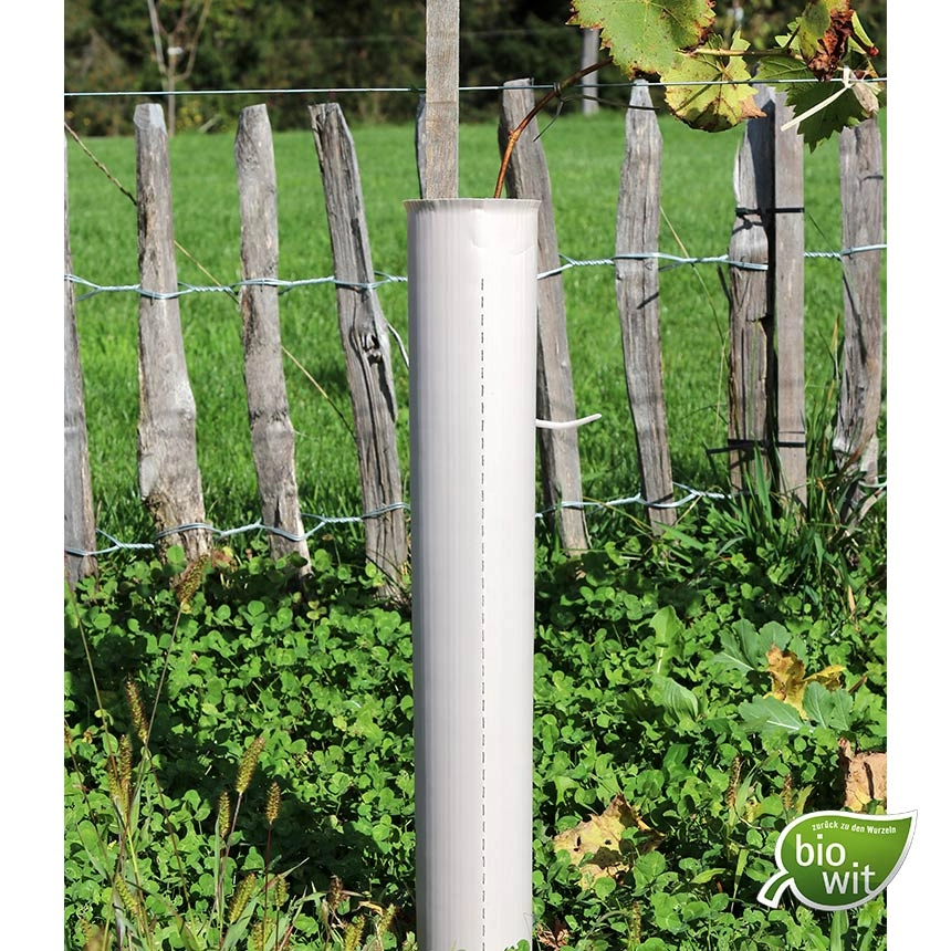 BioWit Vigilis-Bio Vine Shelter 60 cm