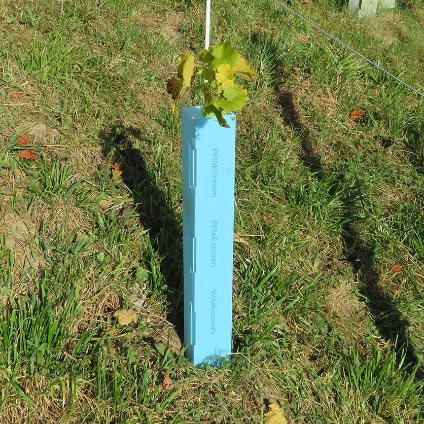 WitaEconom - Rebschutzsäule