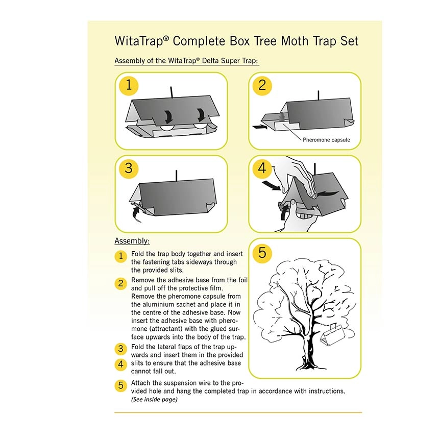 WitaTrap Complete Box Tree Moth Trap Set - Assembly