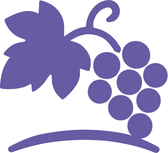 ICONS_Witasek_Reb-Traubenschutz_Farbe