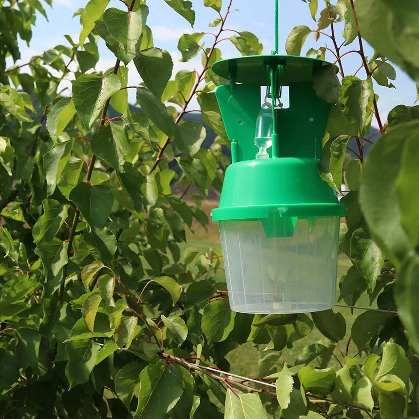WitaTrap Funnel Trap Pro with tube dispenser pheromone