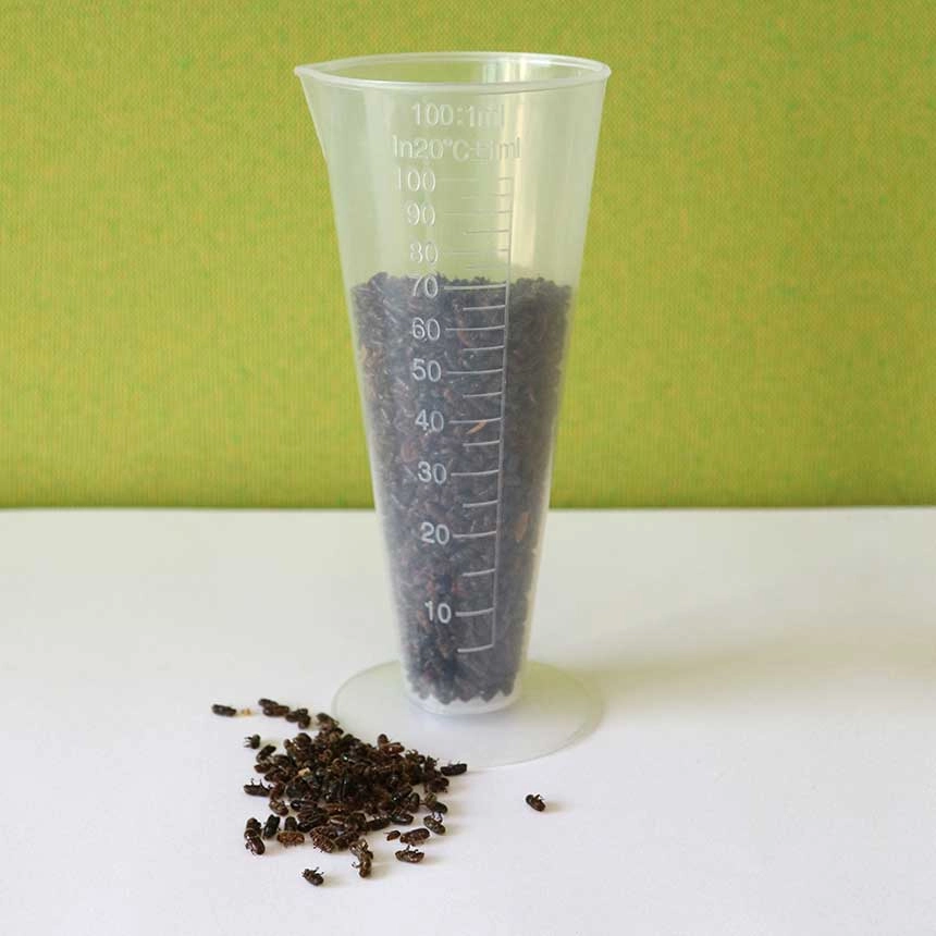 Borkenkäfer-Messbecher 100 ml