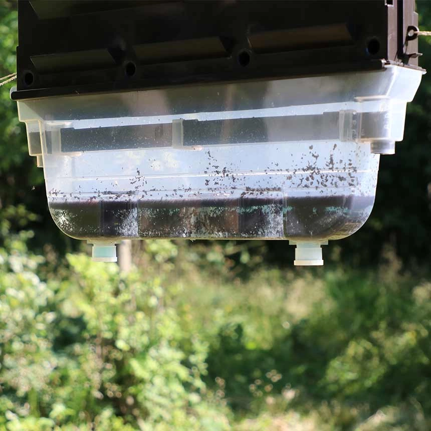 MultiWit Trap-Tub for Bark Beetle Slit Trap - wet trapping MultiWit Trap-Tub for Bark Beetle Slit Trap - wet trapping