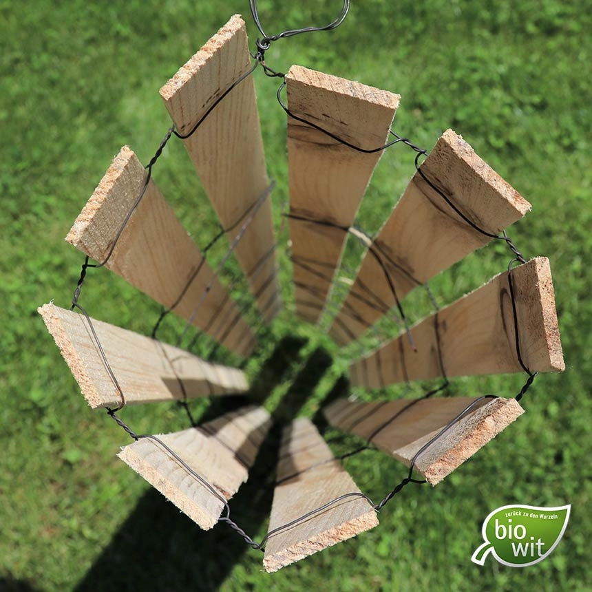 WitaPro Freiwuchs - Wuchsraumdurchmesser ca. 20 cm WitaPro Freiwuchs - Wuchsraumdurchmesser ca. 20 cm