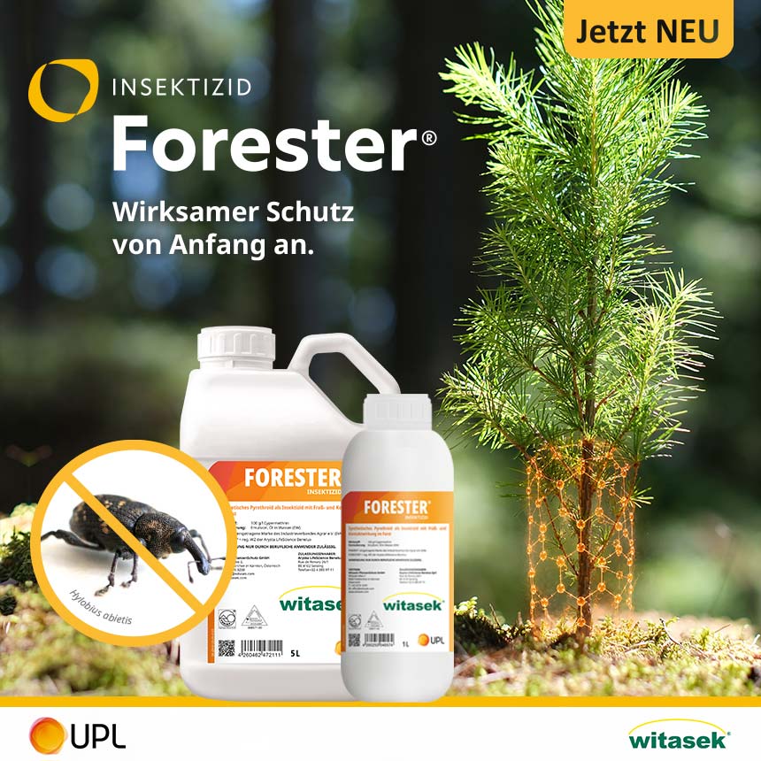 Forester - 1 Liter Gebinde