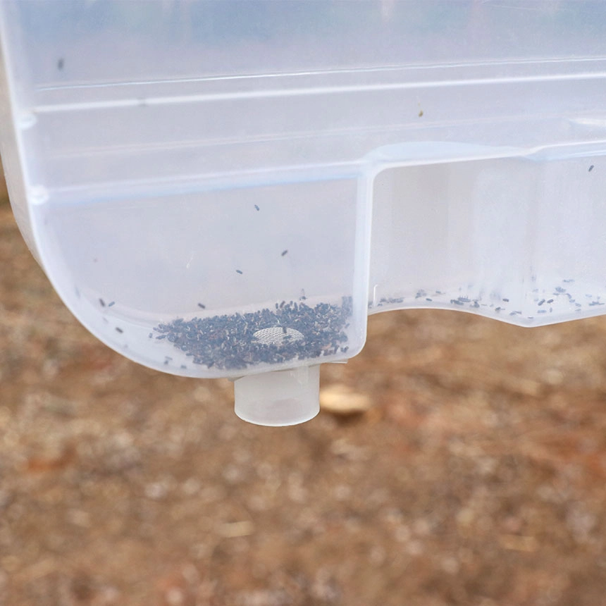 MultiWit Trap-Tub for Bark Beetle Slit Trap - dry trapping MultiWit Trap-Tub for Bark Beetle Slit Trap - dry trapping