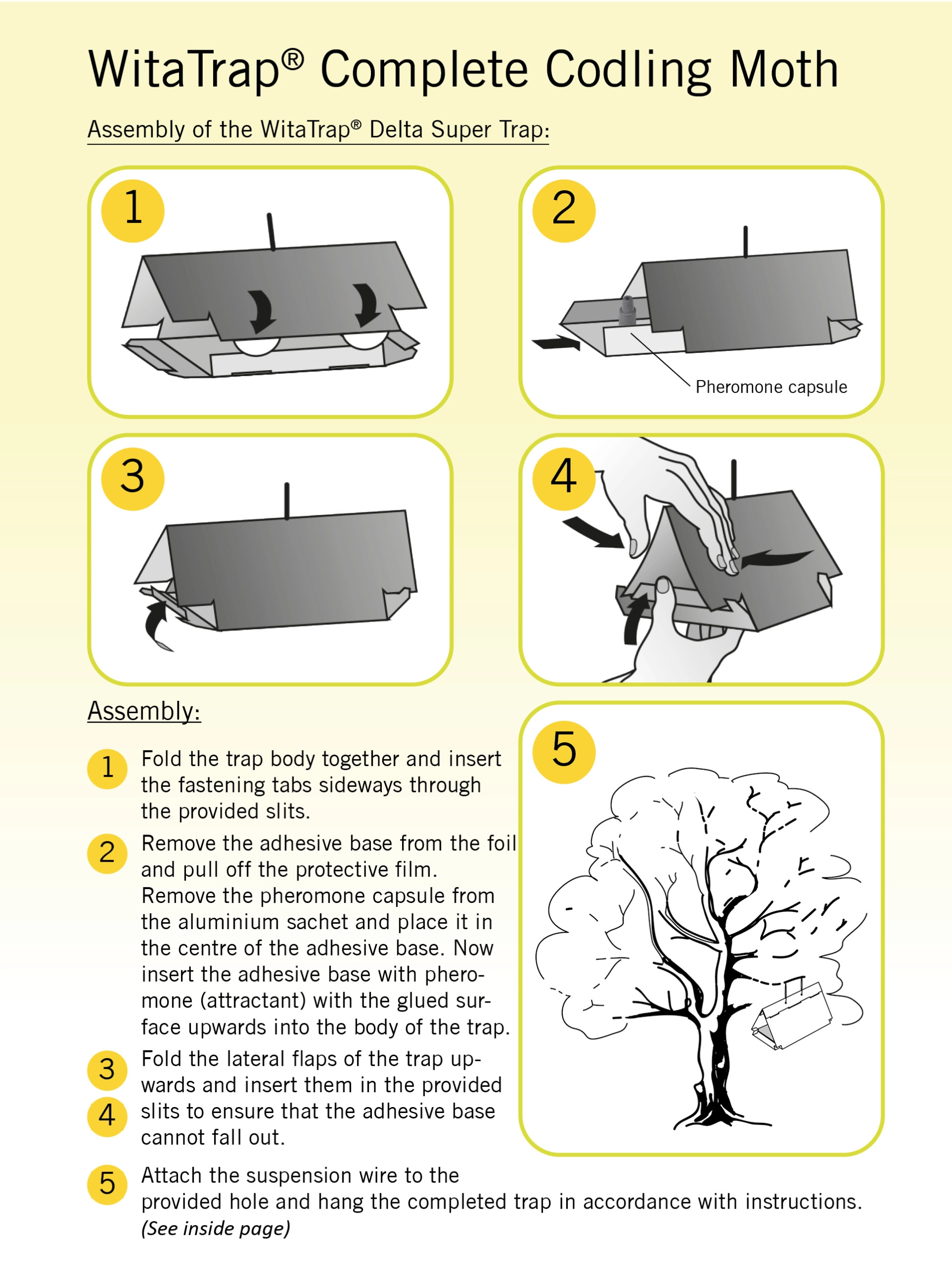 WitaTrap Complete Codling Moth Trap Set - Assembly