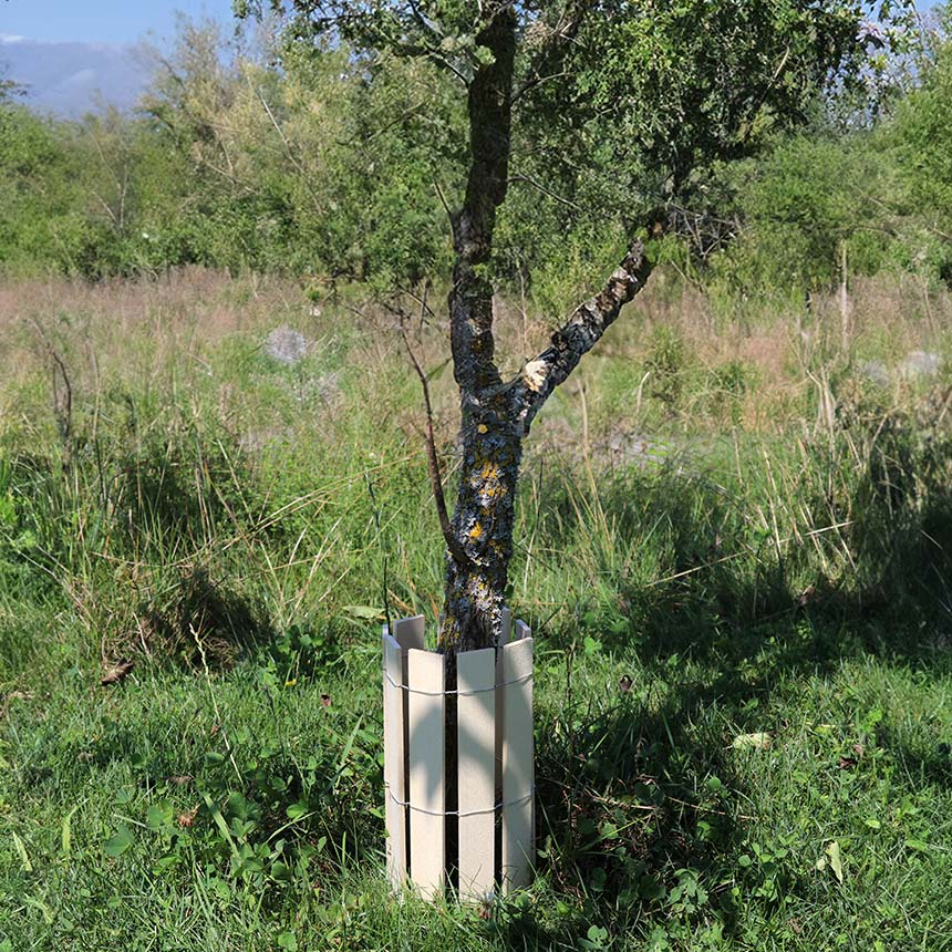 WitaPro Mähschutz Holz - 25 cm