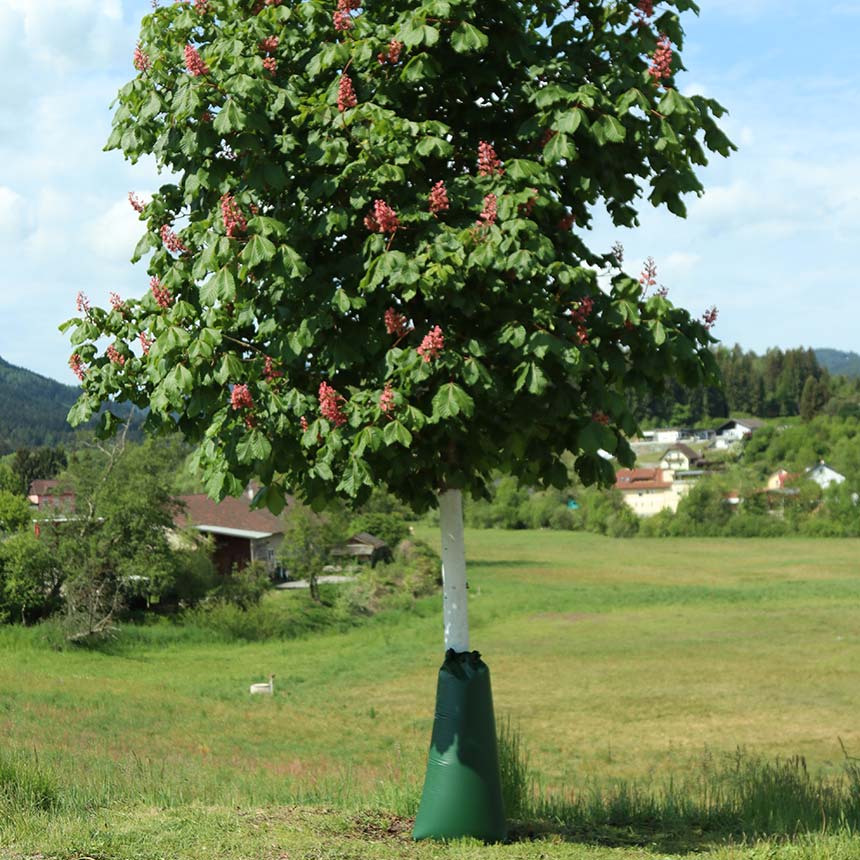 GroWit Bewässerungssack 100 Liter