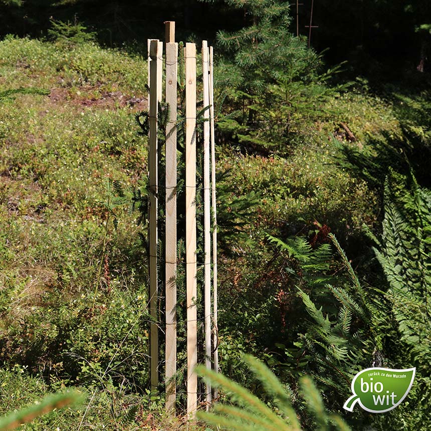 WitaPro Freiwuchs 300, 120 cm, Wuchsraumdurchmesser ca. 20 cm