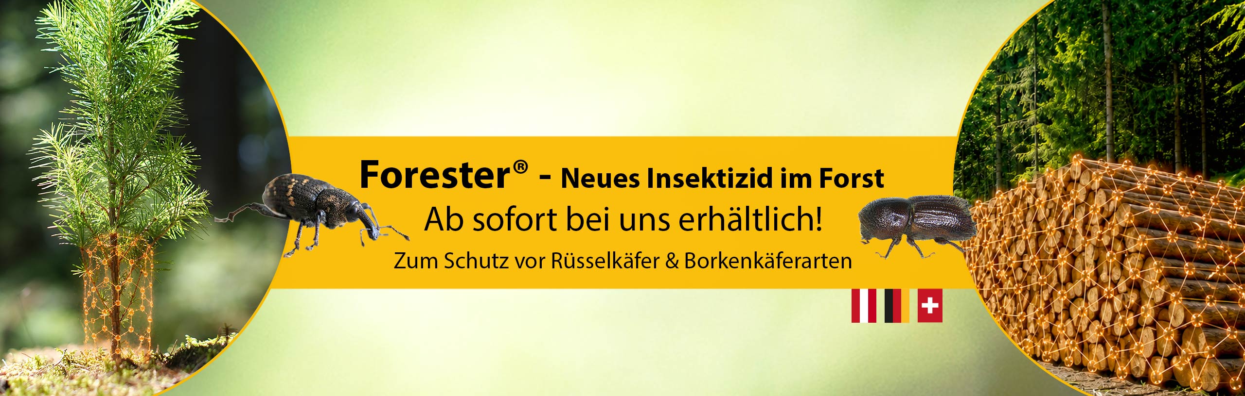 slider-witasek_Forester_jetzt-erhaeltlich
