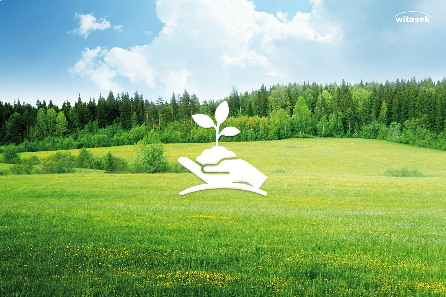 Katalog_Klassischer-Pflanzenschutz_Witasek