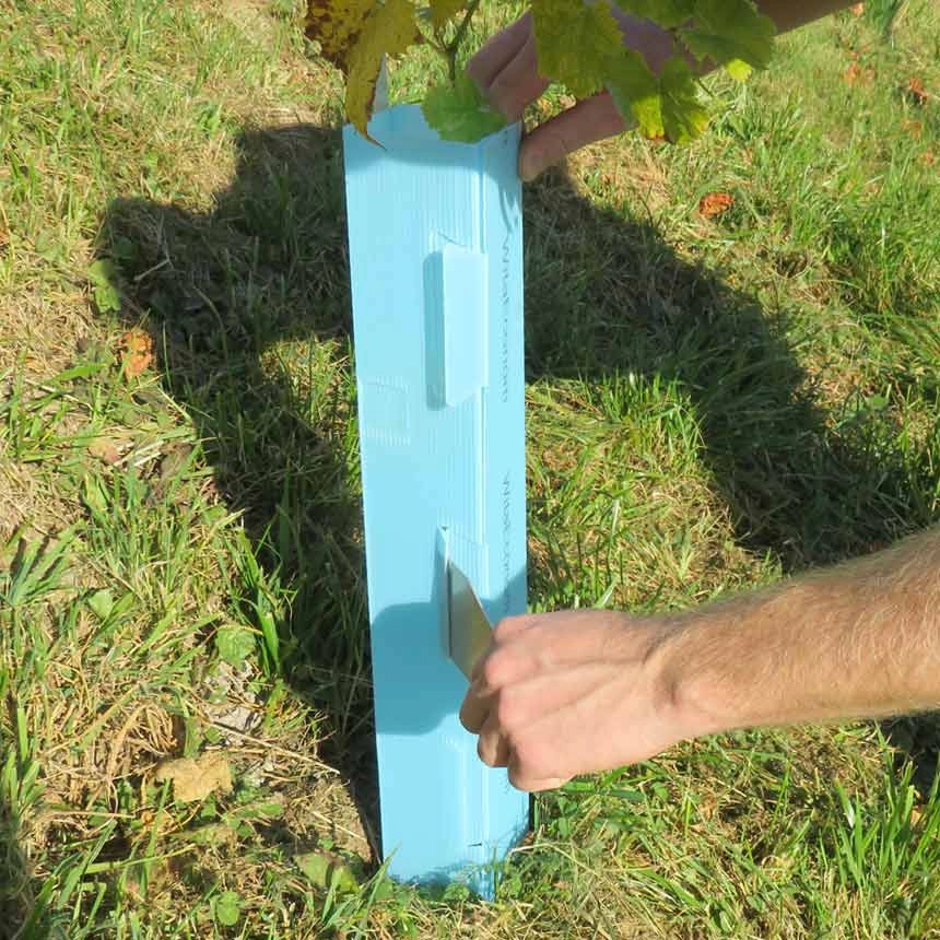 Öffnen der Rebschutzsäule Ecowit 50 cm mit Laschenöffner Witasek Öffnen der Rebschutzsäule Ecowit 50 cm mit Laschenöffner Witasek