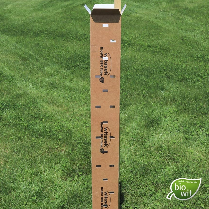 BioWit BTR Tube - biological tree protection, fully closed BioWit BTR Tube - biological tree protection, fully closed