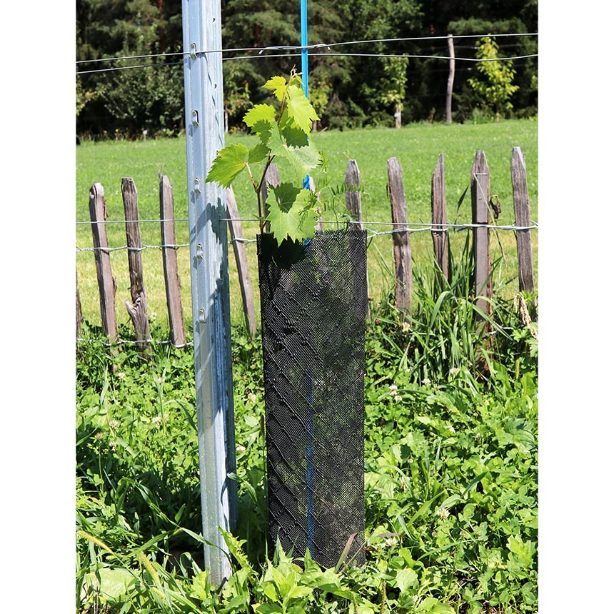 Klimawit Smart 180 - Rolle zu 50lfm/Ø11cm, Rebschutznetz Klimawit Smart 180 - Rolle zu 50lfm/Ø11cm, Rebschutznetz