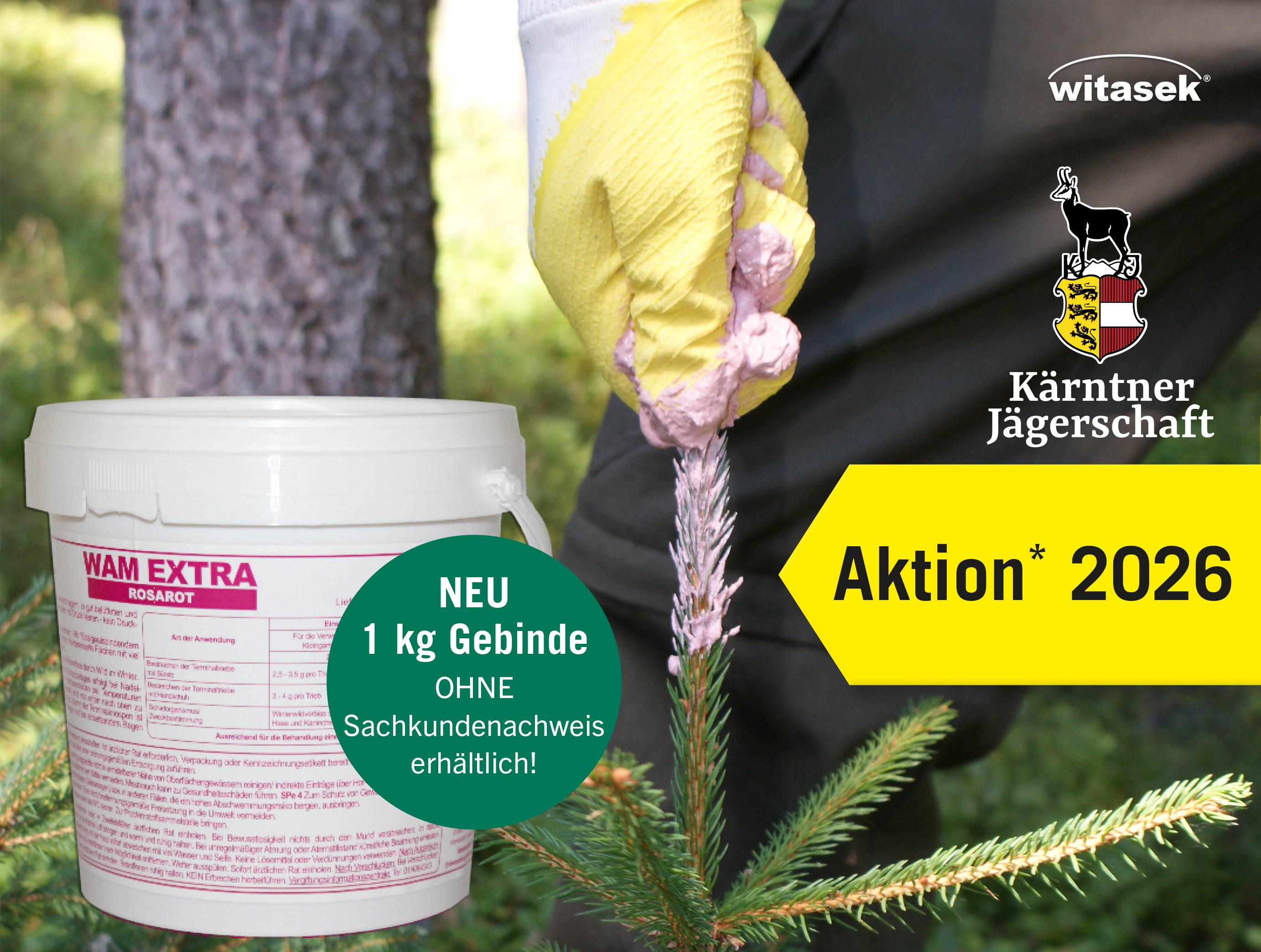 Blog-Witasek_WAM_KtnJ-2026_384x290