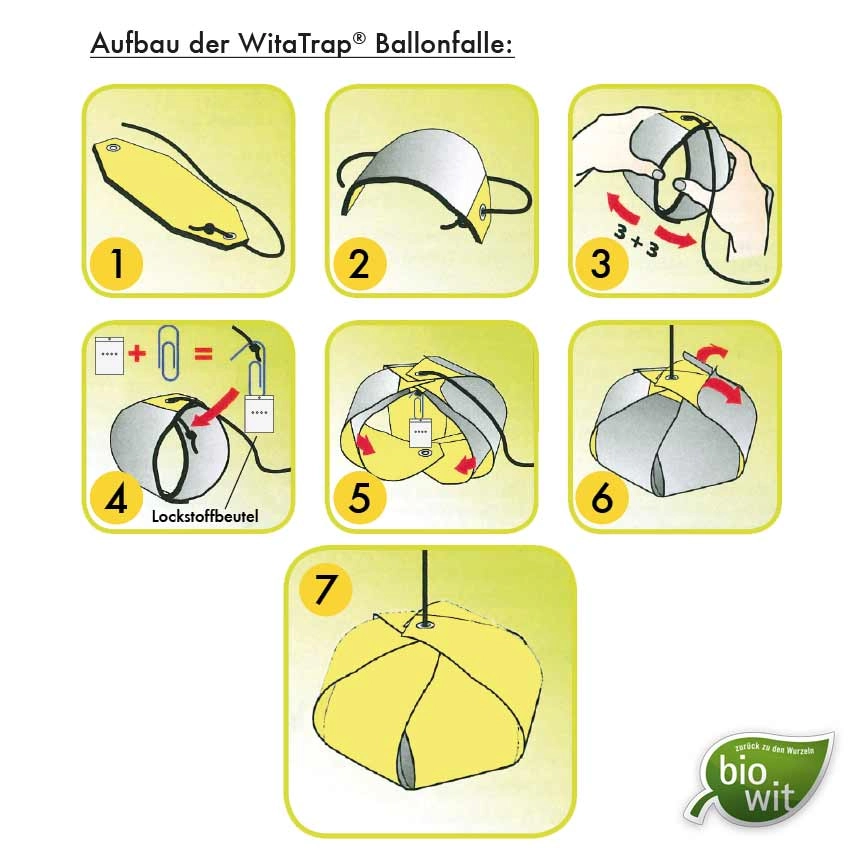 Aufbau WitaTrap Walnussfruchtfliege Komplettset