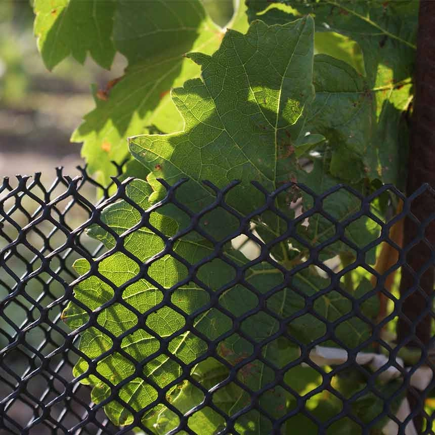 Rabbit standard Rebschutznetz