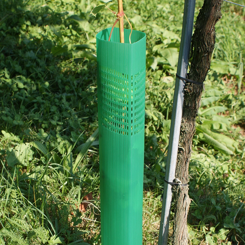 DuoTub - Rebschutzsäule