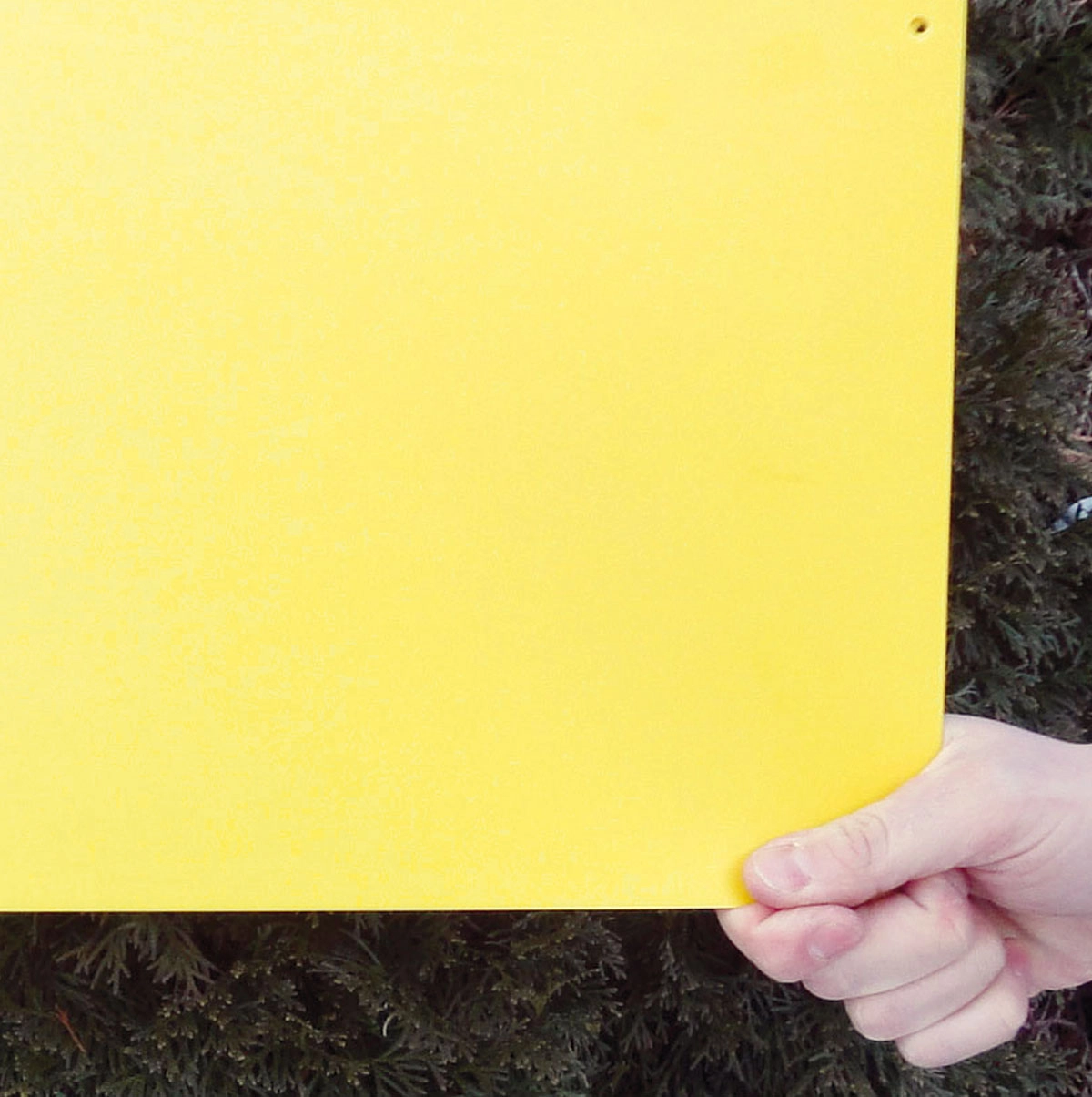 Yellow Panel, sticky