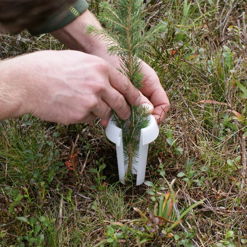 HyloPro Pine Weevil Protection Collar HyloPro Pine Weevil Protection Collar