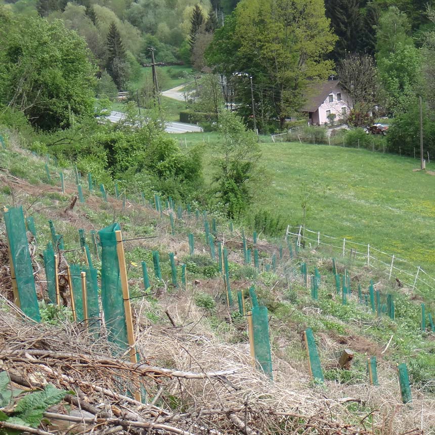 Klimawit Light 220 - Rolle zu 100 lfm