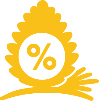 ICONS_Witasek_Aktionen_Farbe