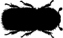Borkenkäfer