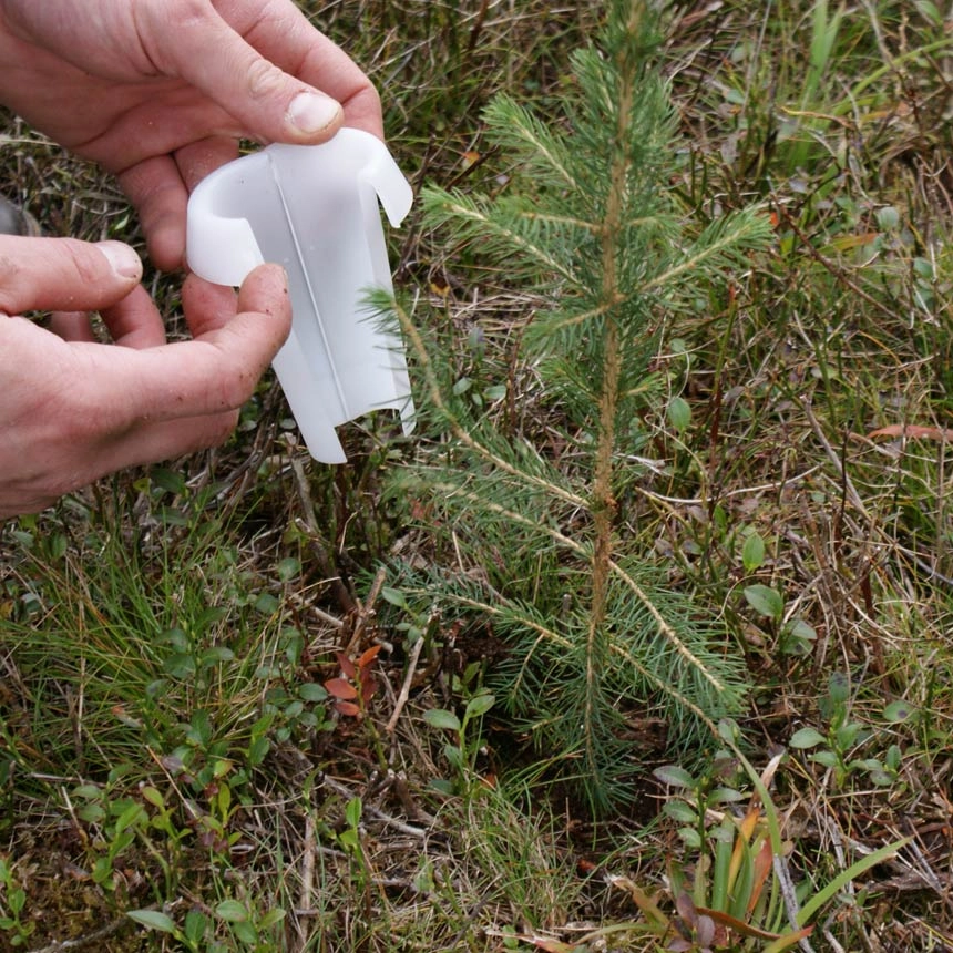 HyloPro Pine Weevil Protection Collar HyloPro Pine Weevil Protection Collar