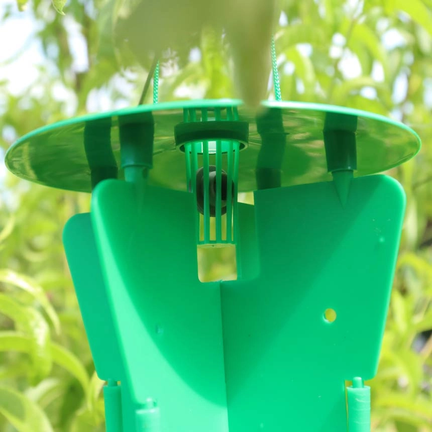 WitaTrap Funnel Trap Pro with rubber plug pheromone