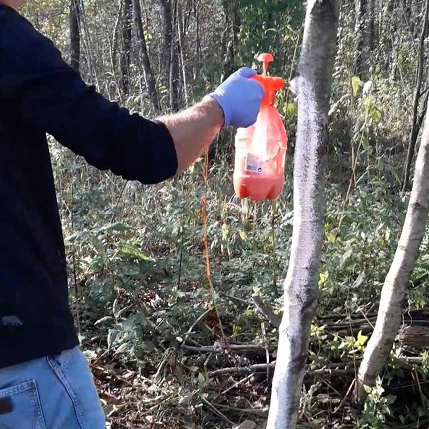 CORTIFLEX flüssig - spritzfähiger Weißanstrich