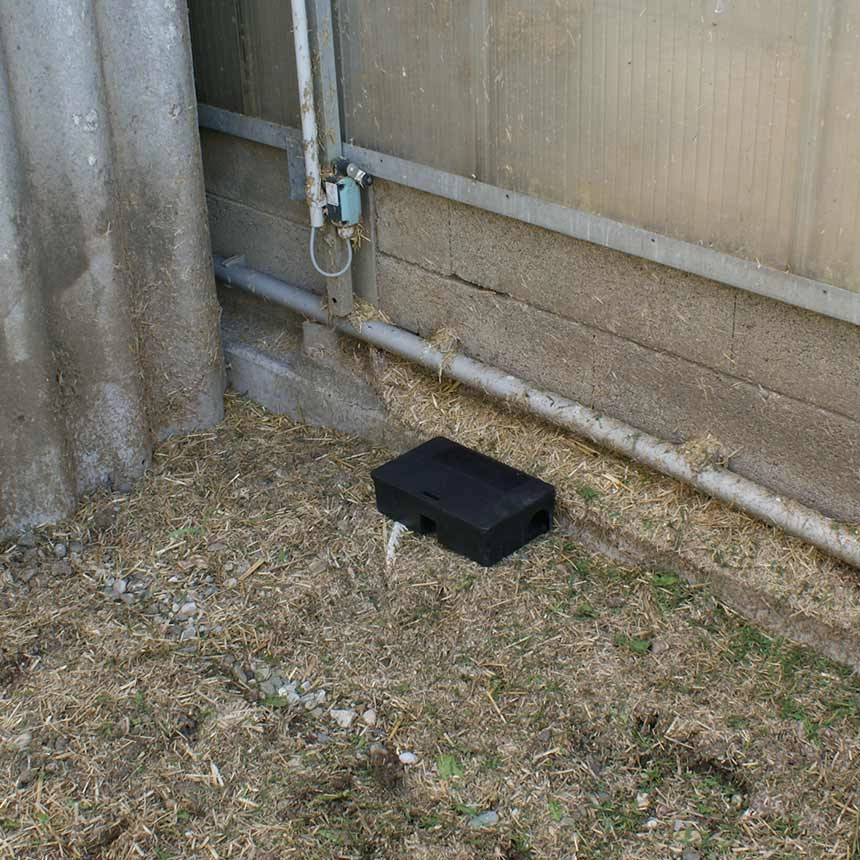 Positionierung Köderbox gegen Ratten und Mäuse