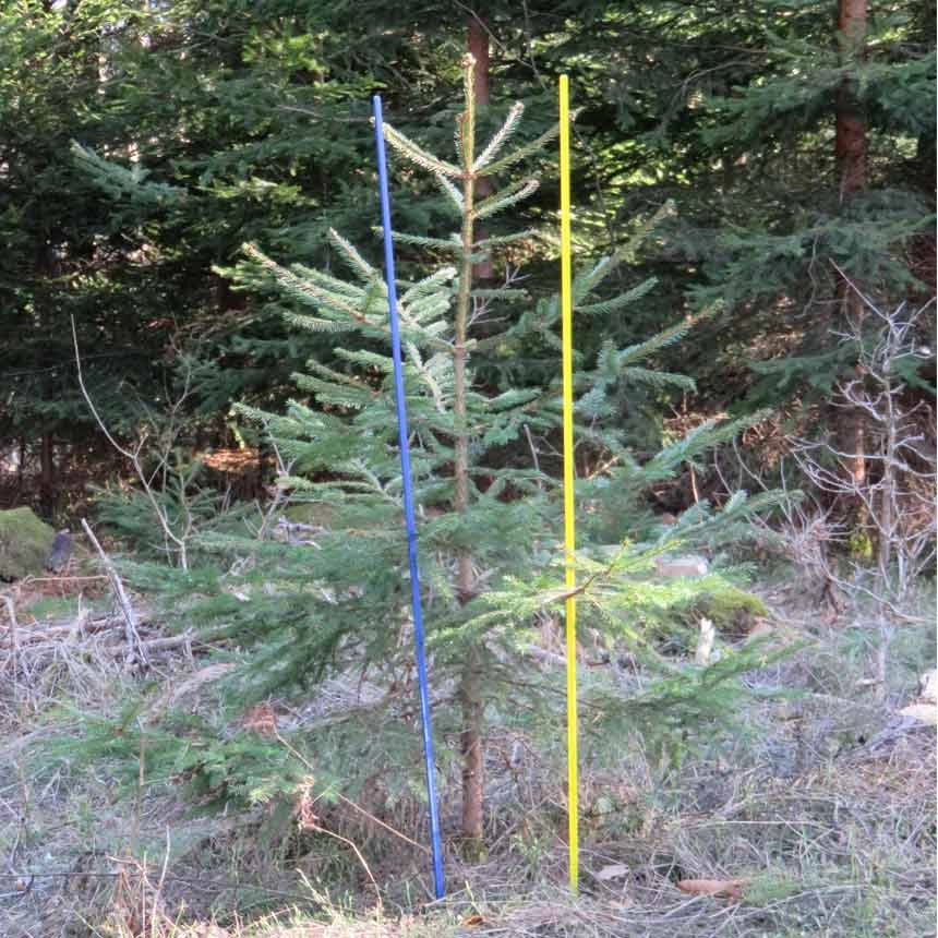 WitaPro fibreglass rod blue and yellow
