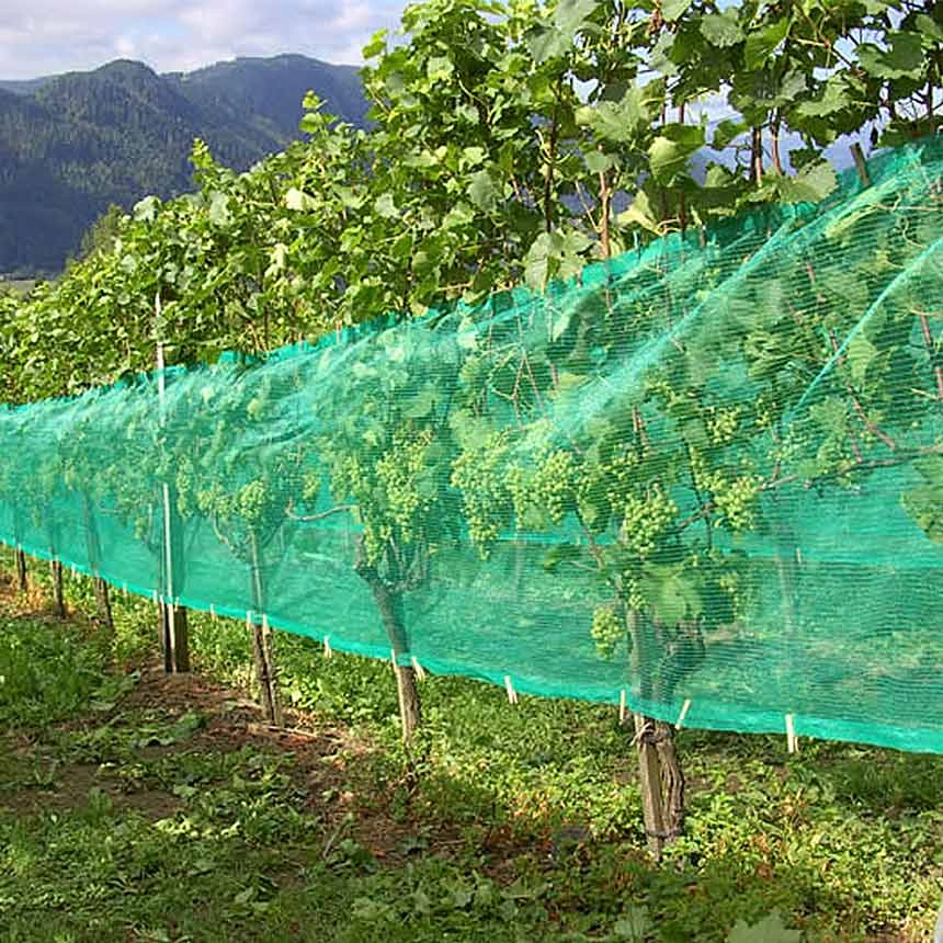 WitaNet Seitenbespannung grün