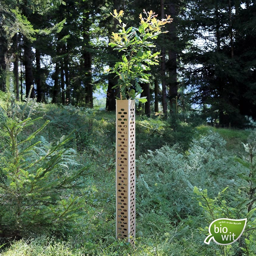 BioWit FMX Baumschutzhülle 120 cm - biologisch abbaubar BioWit FMX Baumschutzhülle 120 cm - biologisch abbaubar
