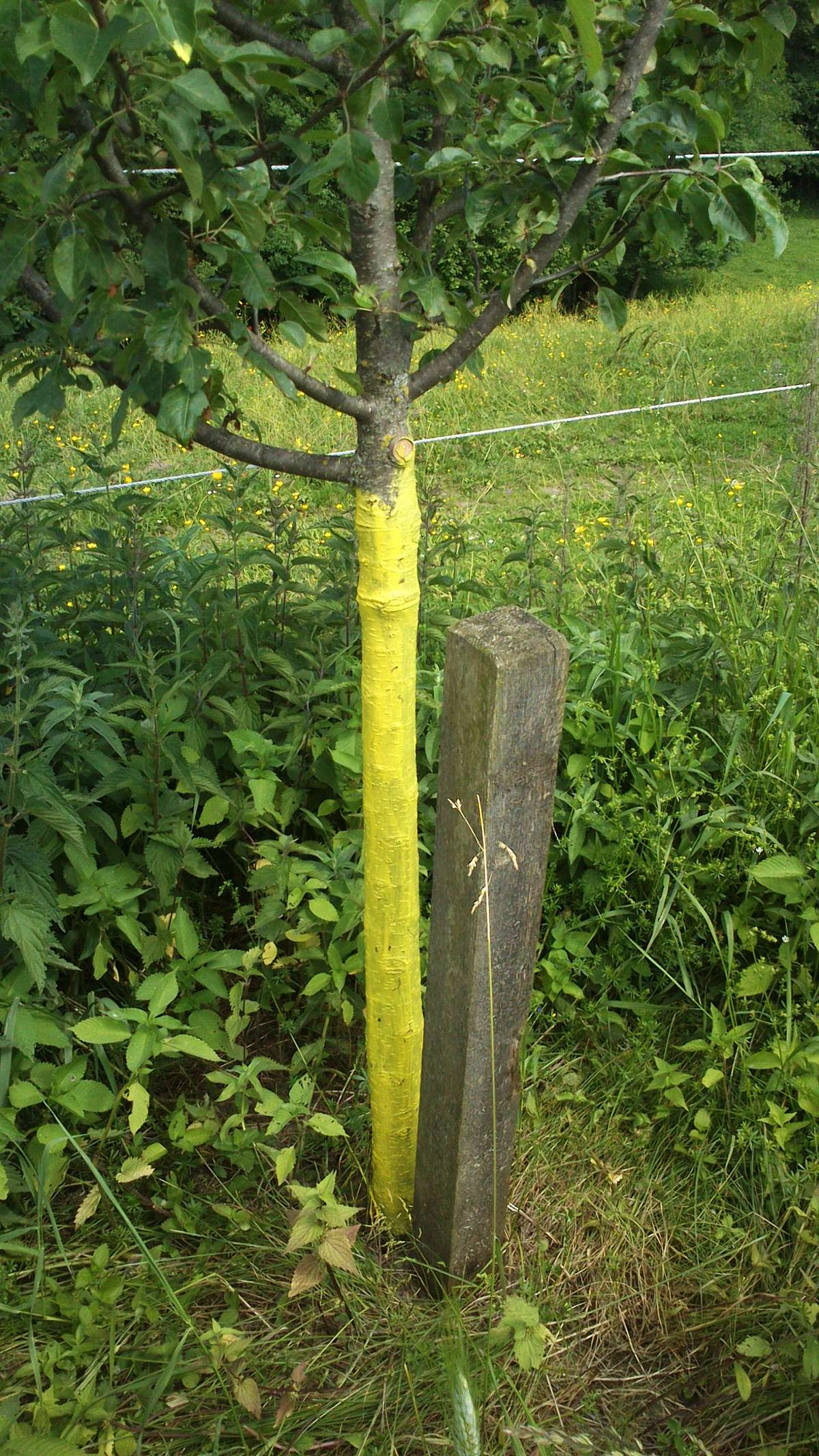PreFlex Voranstrich 1 Liter