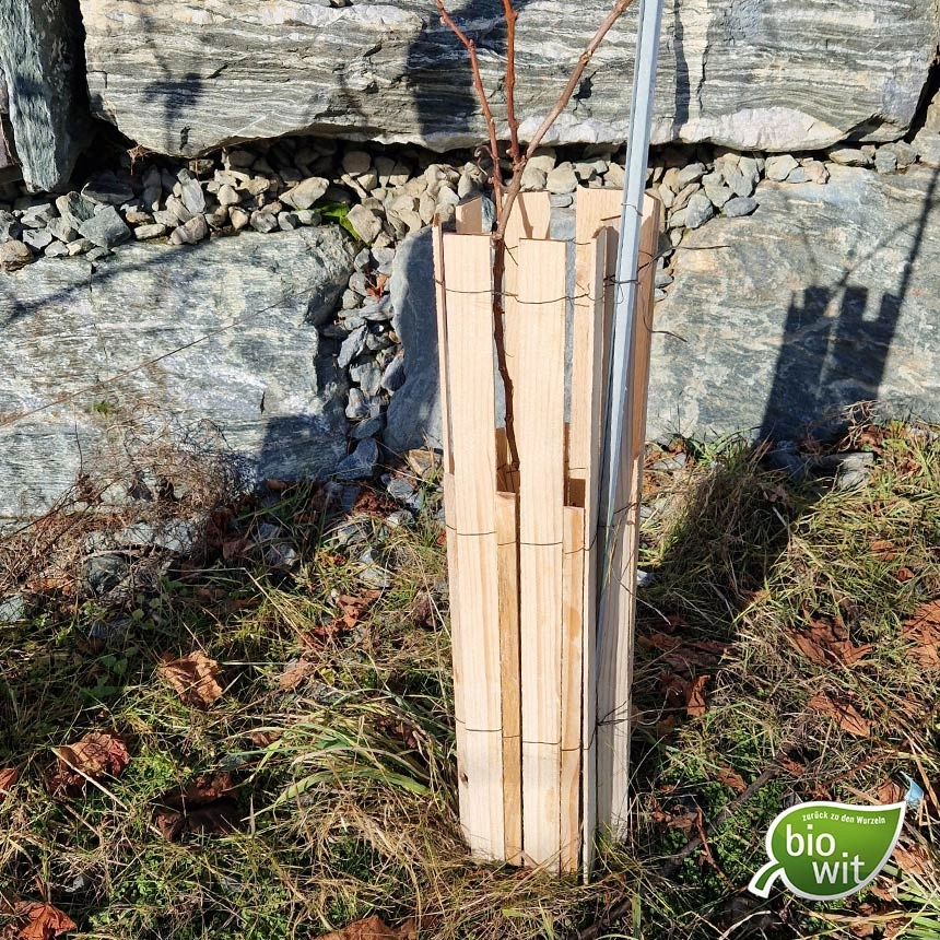 WitaPro Duo Rebschutz aus Holz, 60 cm