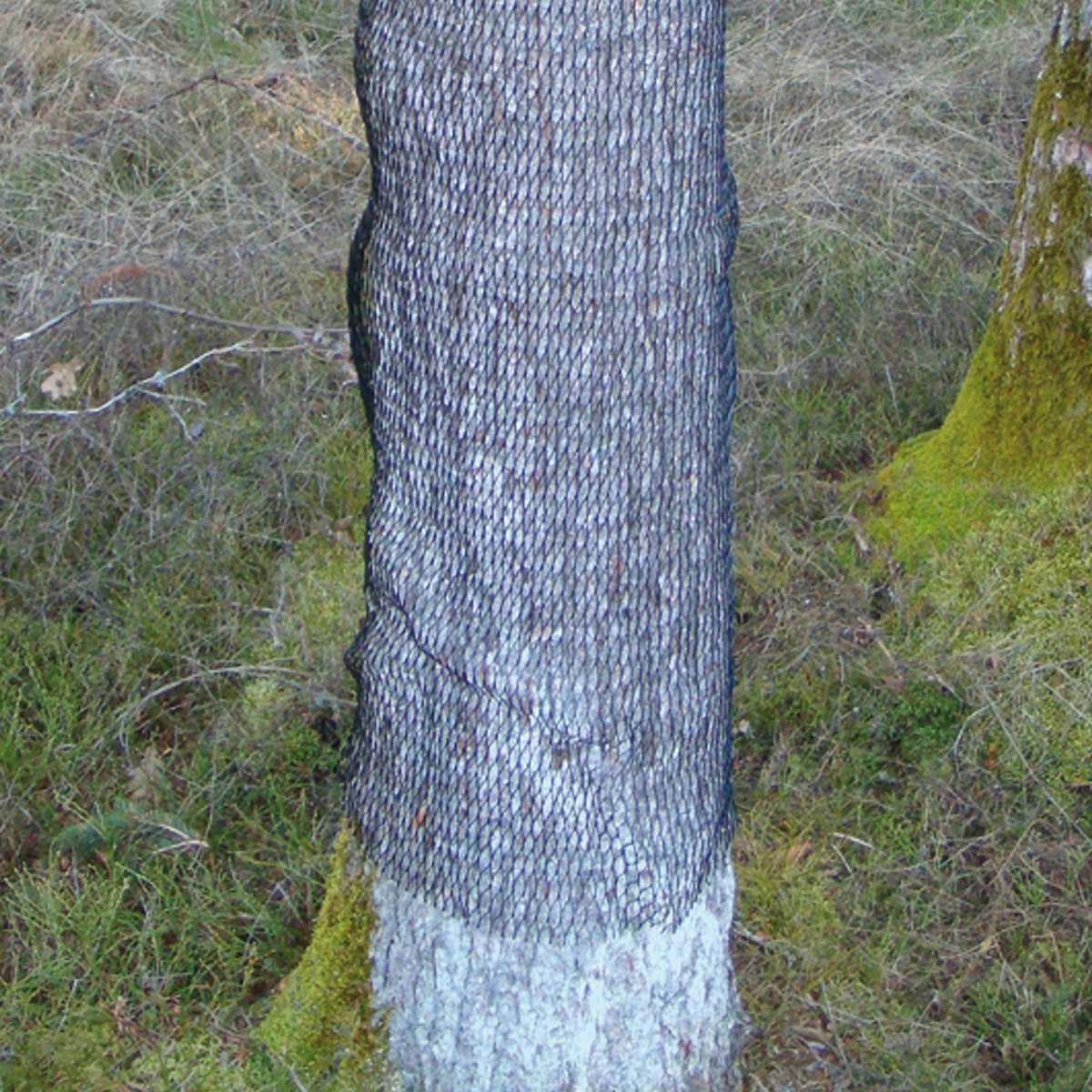 WitaSchäl Schälschutz