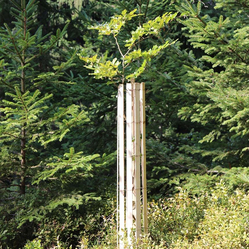 WitaPro Baumschutz HQ 14, 120 cm (Stückware) mit verzinktem Draht