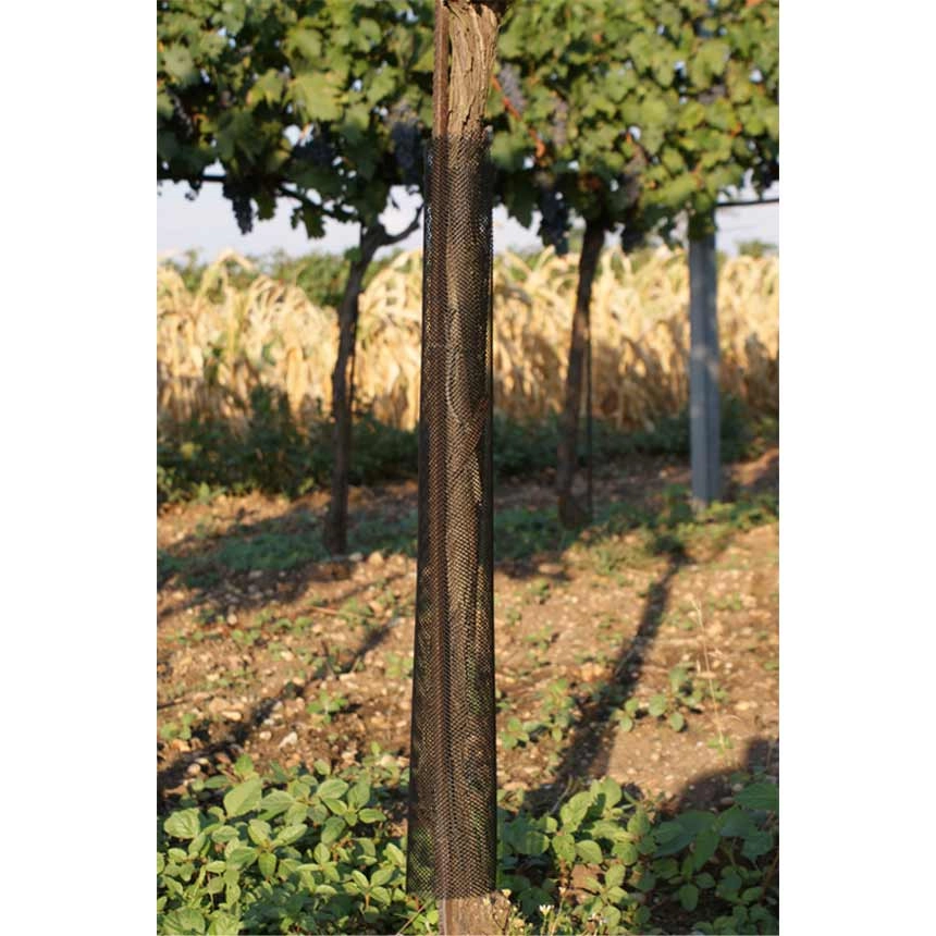WitaKnabb-Net Weinbau